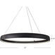 Halo Pendant Ceiling Light in Black