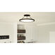 Outskirts LED 15 inch Earth Black Semi-Flush Mount Ceiling Light