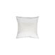 Edwin 18 X 18 inch White Pillow Kit, Square