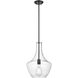 St. Julian 1 Light 12 inch Graphite Pendant Ceiling Light in Clear Glass