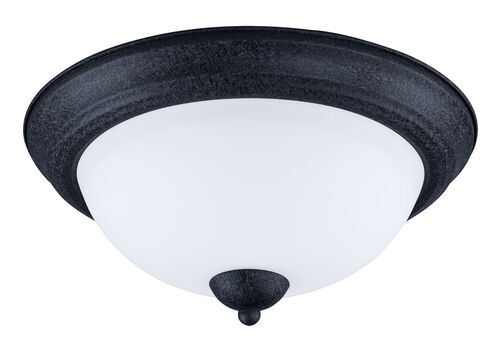 Taylor 2 Light 13.25 inch Textured Black Flush Mount Ceiling Light