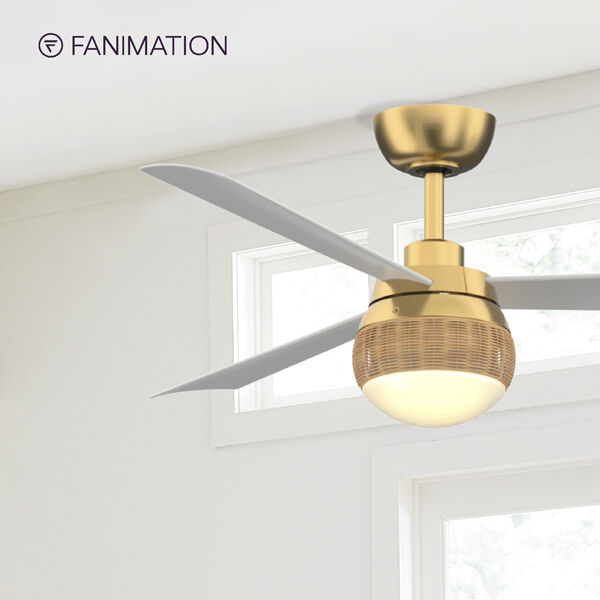 Paget 52 inch Brushed Satin Brass with Matte White Blades Fan-Uni