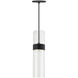Sean Lavin Manette 1 Light 12 Black/Satin Nickel Low-Voltage Pendant Ceiling Light in Clear and Clear, FreeJack, Black with Satin Nickel
