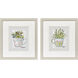 Herb & Wildflower II Green and Multi and Gray and Pink Framed Art, Propac