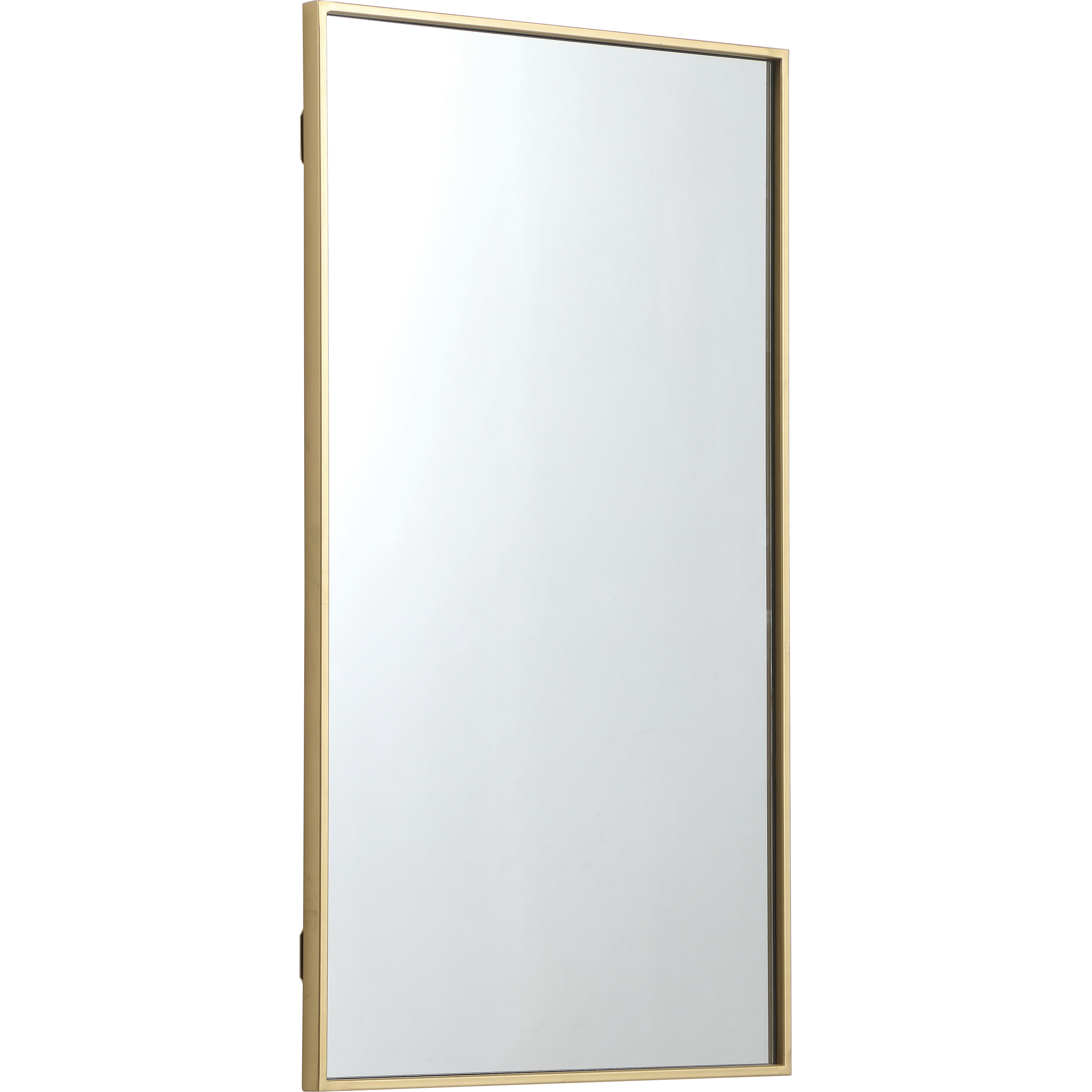 Monet 36 X 20 inch Brass Wall Mirror