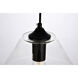 Placido 1 Light 9 inch Black and Clear Pendant Ceiling Light