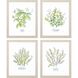 Culinary Collection Green Framed Art