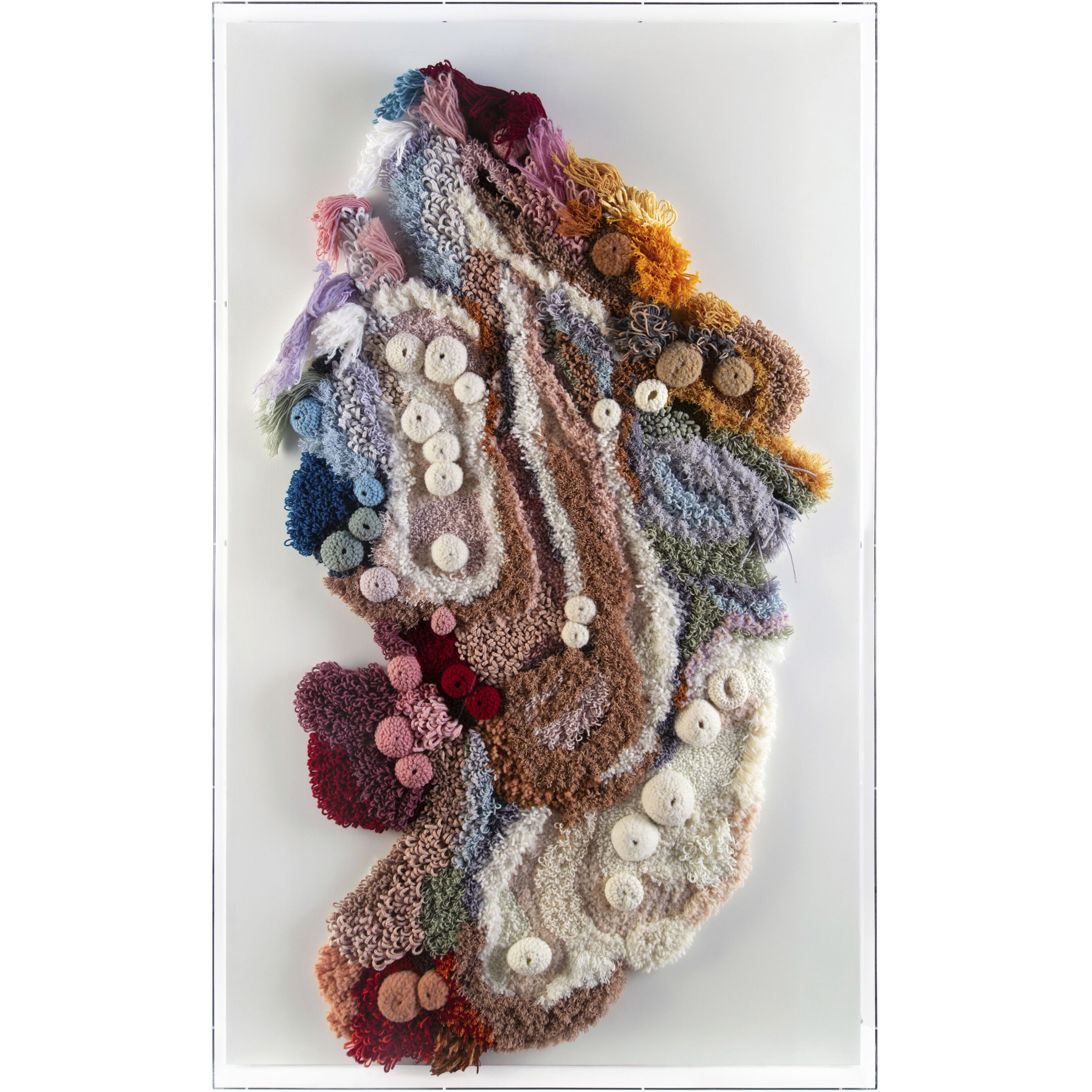 Tony Fey's Exotic Plumage 72.5 X 43.75 inch Figurative Art