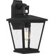 Joffrey Outdoor Wall Lantern, Medium