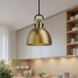 Alora Mood Waldo 1 Light 10.5 inch Matte Black and Aged Gold Pendant Ceiling Light