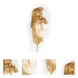 Chelsea House 1 Light 6 inch Antique Gold Leaf/Etched Clear Sconce Wall Light, Large