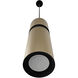 Cicada LED 3 inch Knurled Brass with Black Pendant Ceiling Light