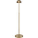 Alda 53.5 inch 60.00 watt Aged Brass Floor Lamp Portable Light