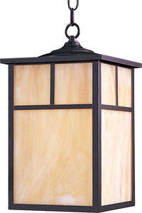 Coldwater 1 Light 9 inch Black Outdoor Hanging Lantern in White