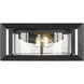 Smyth 2 Light 5.88 inch Natural Black Outdoor Ceiling in Seeded Glass