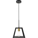 Resolute 1 Light 9 inch Brass and Black Pendant Ceiling Light