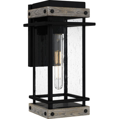 Strader 1 Light 7.5 inch Matte Black Outdoor Lantern, Medium