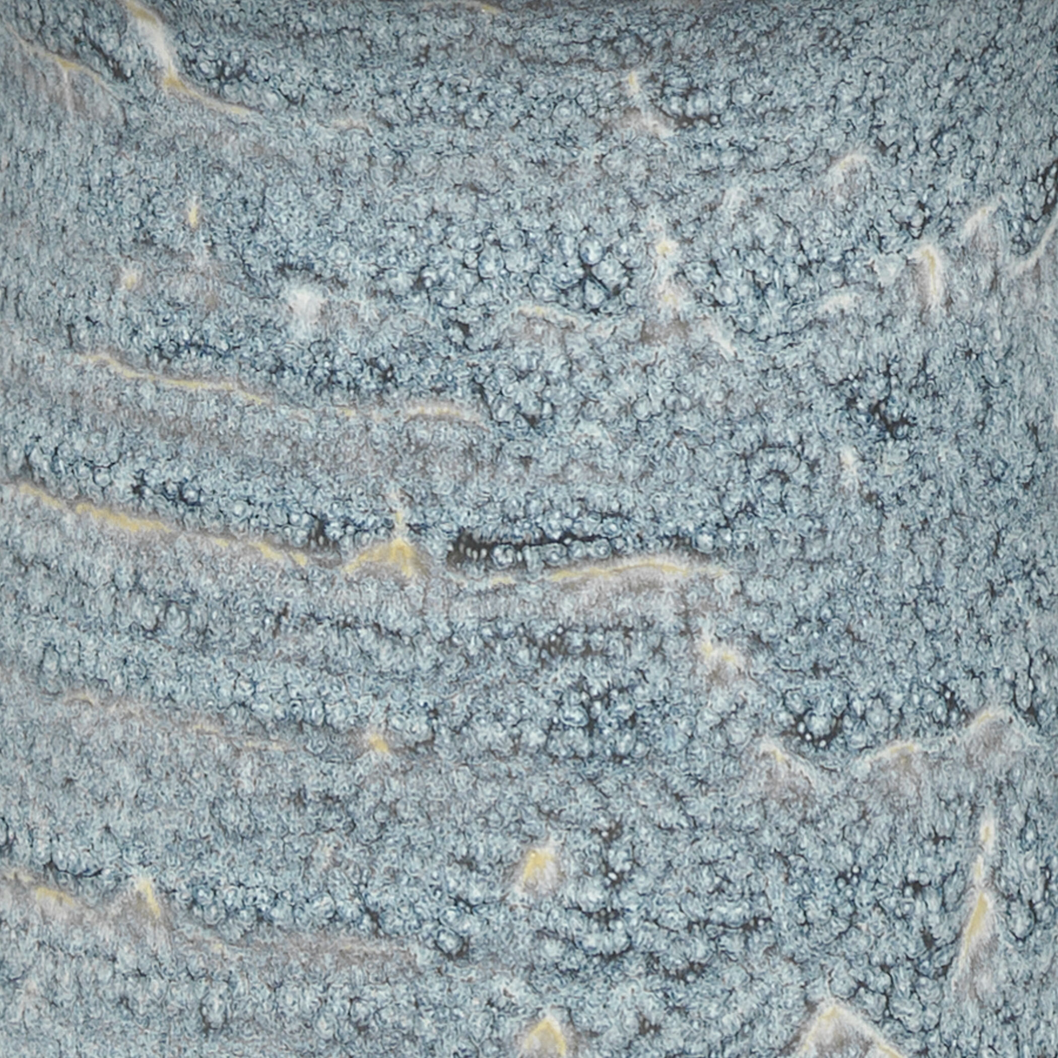 Snorkel 12 X 8 inch Vases, Set of 2