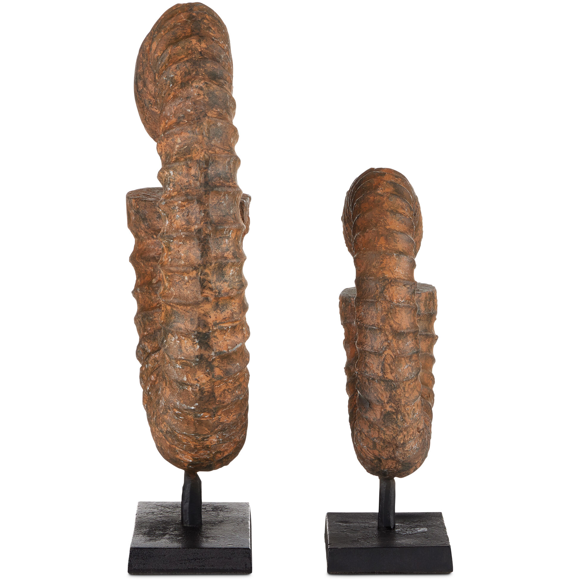 Faux Horn 19.5 X 17.25 inch Sculptures, Set of 2