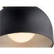 Dome 1 Light Noir Flush Mount Ceiling Light
