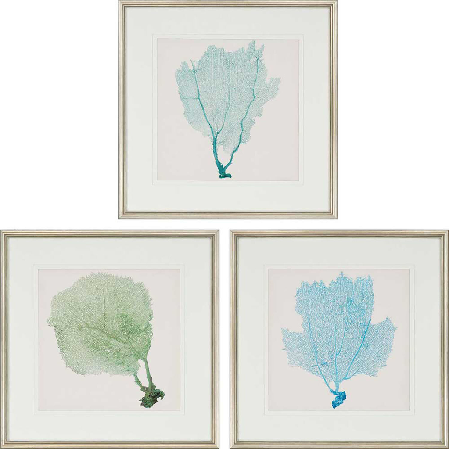 Sea Fan Blue and Turquoise and Green and Beige Framed Art