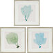 Sea Fan Blue and Turquoise and Green and Beige Framed Art