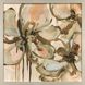 Petal Play Green and Brown and Multi and Pink Framed Art