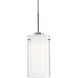 Verona LED 3.88 inch Brushed Nickel Pendant Ceiling Light