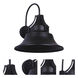Union LED 15 inch Midnight Wall Mount Wall Light
