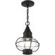 Newburyport 1 Light 9 inch Black Outdoor Pendant Lantern