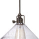 Union Square 1 Light 10 inch Oil Rubbed Bronze Pendant Ceiling Light in Clear Bubble
