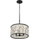 Scribble 3 Light 18 inch Matte Black with Artifact Pendant Ceiling Light, Semi-Flush Convertible, Smithsonian Collaboration