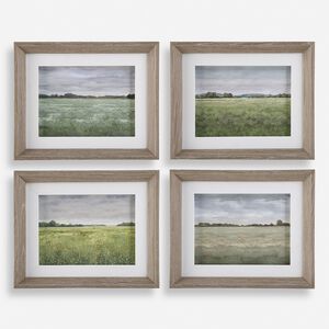 Quiet Meadows 16.88 X 13.88 inch Framed Prints, Set of 4