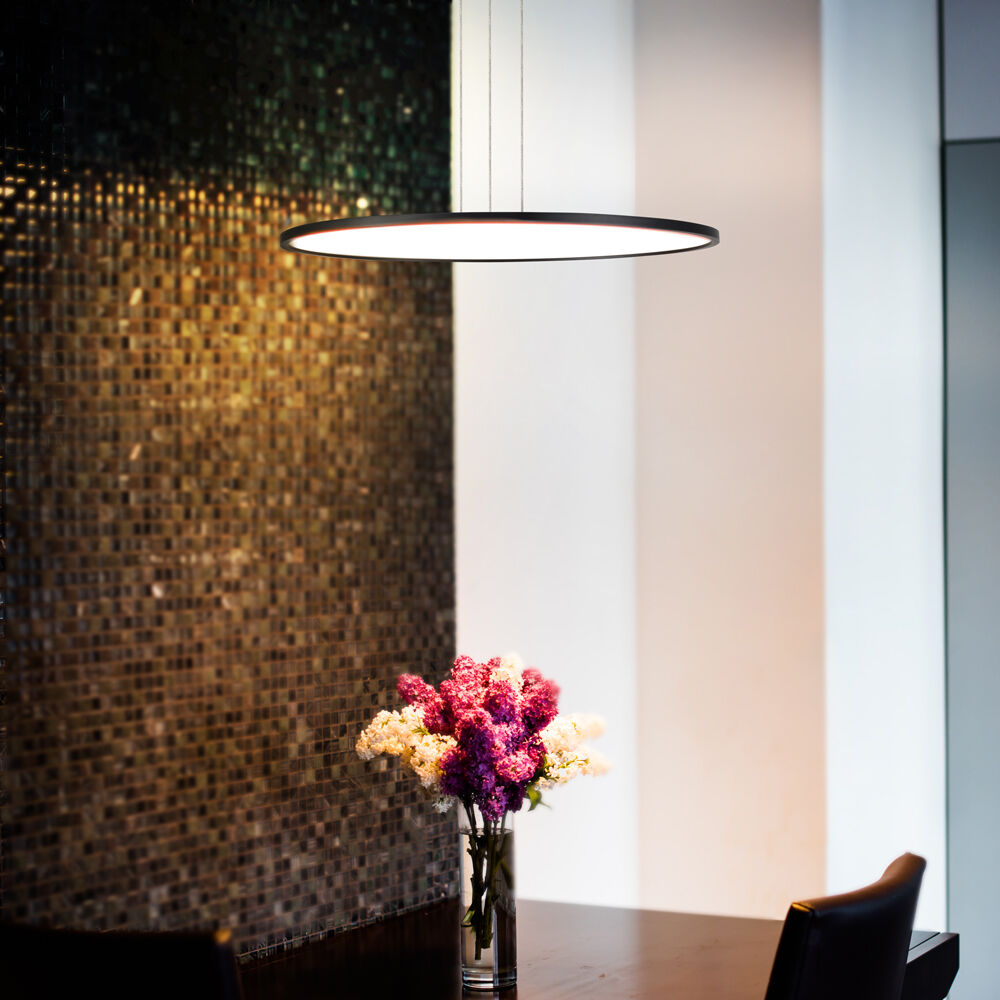 Salm 24 inch Black Pendant/Chandelier Ceiling Light