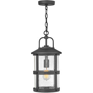 Estate Series Lakehouse LED 9 inch Black Outdoor Hanging Lantern, Low Voltage