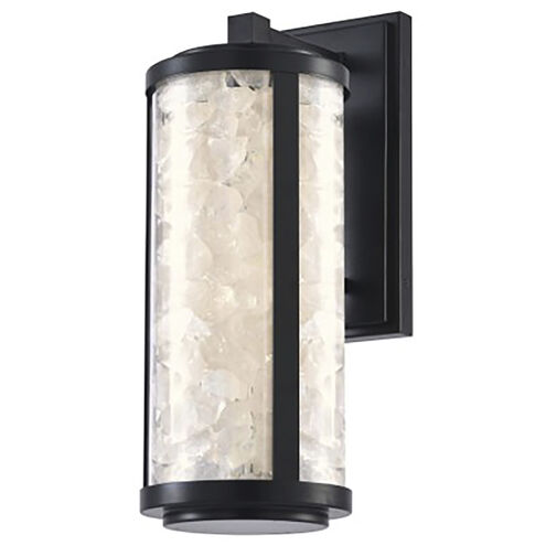 Great Outdoors Salt Creek LED 20.25 inch Coal Outdoor Wall Sconce