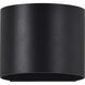 Lark Wall Sconce Wall Light