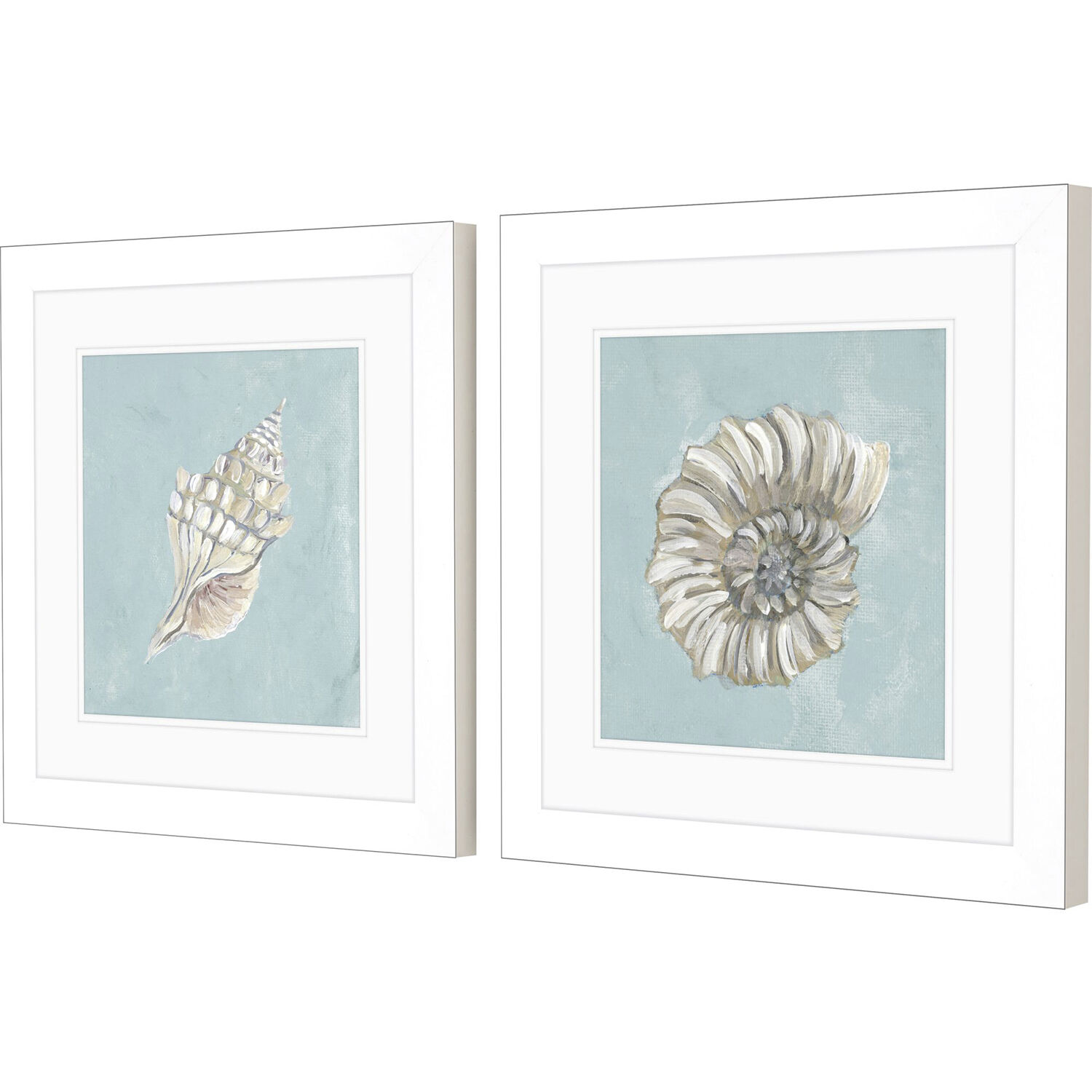Seashell Green and Blue and Turquoise Framed Art, Propac