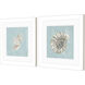 Seashell Green and Blue and Turquoise Framed Art, Propac