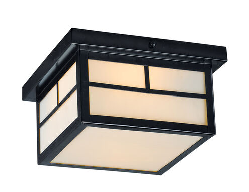 Coldwater 2 Light 9 inch Black Outdoor Flush Mount in White