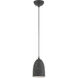 Arlington 1 Light 6 inch Scandinavian Gray with Brushed Nickel Accents Pendant Ceiling Light