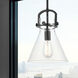 Downtown Urban Newton Cone 1 Light 10 inch Matte Black Mini Pendant Ceiling Light in Clear