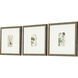 Florals Collection Green Framed Art