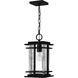 McAlister 1 Light 8 inch Earth Black Mini Pendant Ceiling Light