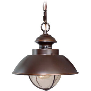 Harwich 1 Light 10 inch Burnished Bronze Outdoor Pendant