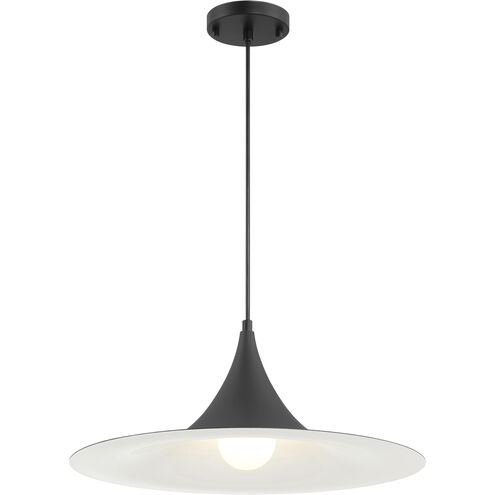 Costa 1 Light 19 inch Matte Black Pendant Ceiling Light