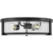 Lowell 3 Light 16 inch Black with Clear glass Foyer Light Ceiling Light, Flush Mount