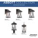 Abbott 1 Light 16 inch Antique Bronze Outdoor Wall Lantern, Medium