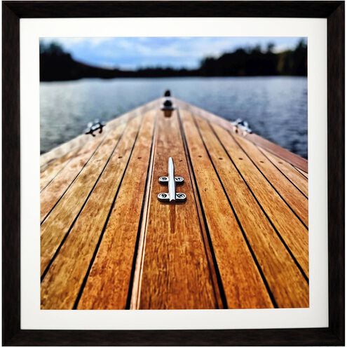 Waterside Collection Brown Framed Art