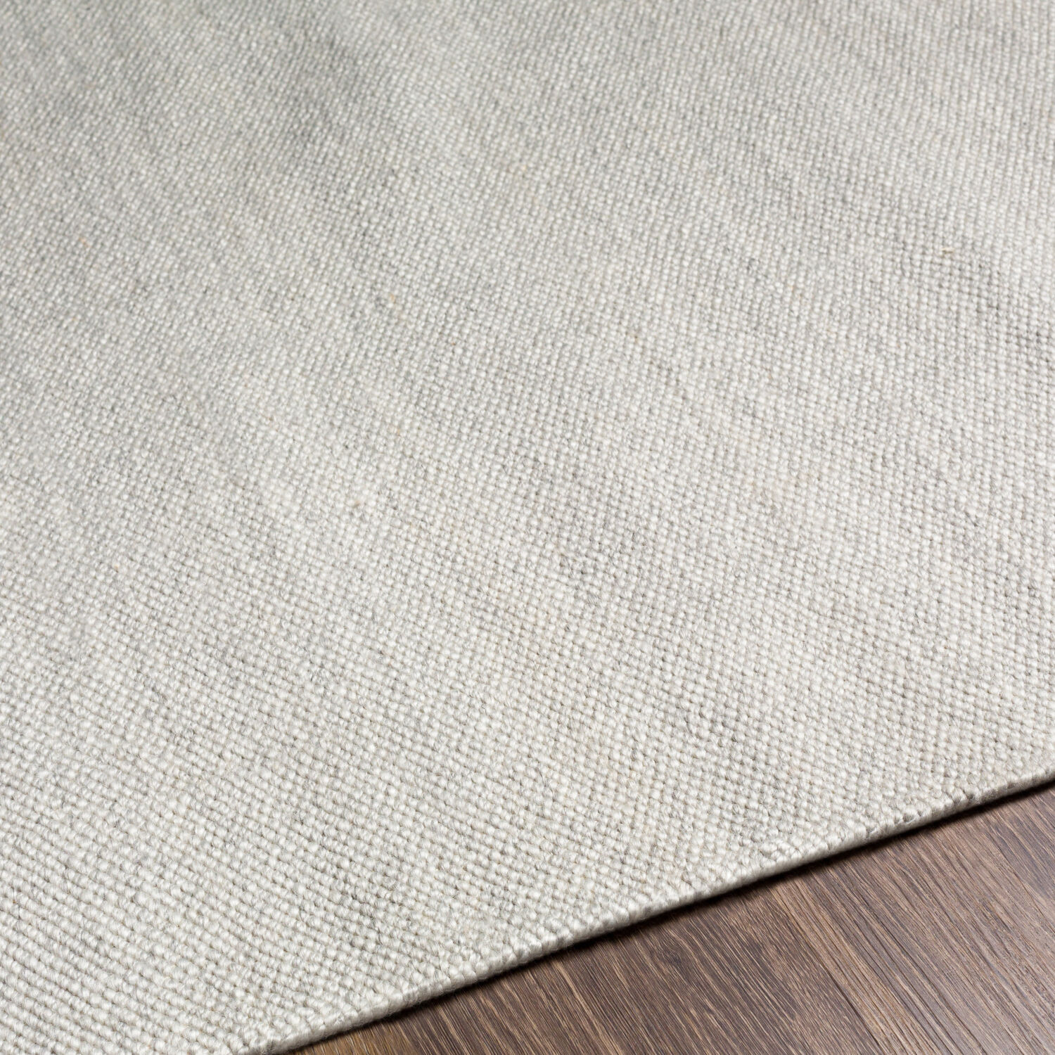 Acacia 36 X 24 inch Light Gray Rug in 2 x 3, Rectangle